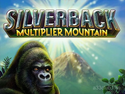 Silverback Multiplier Mountain